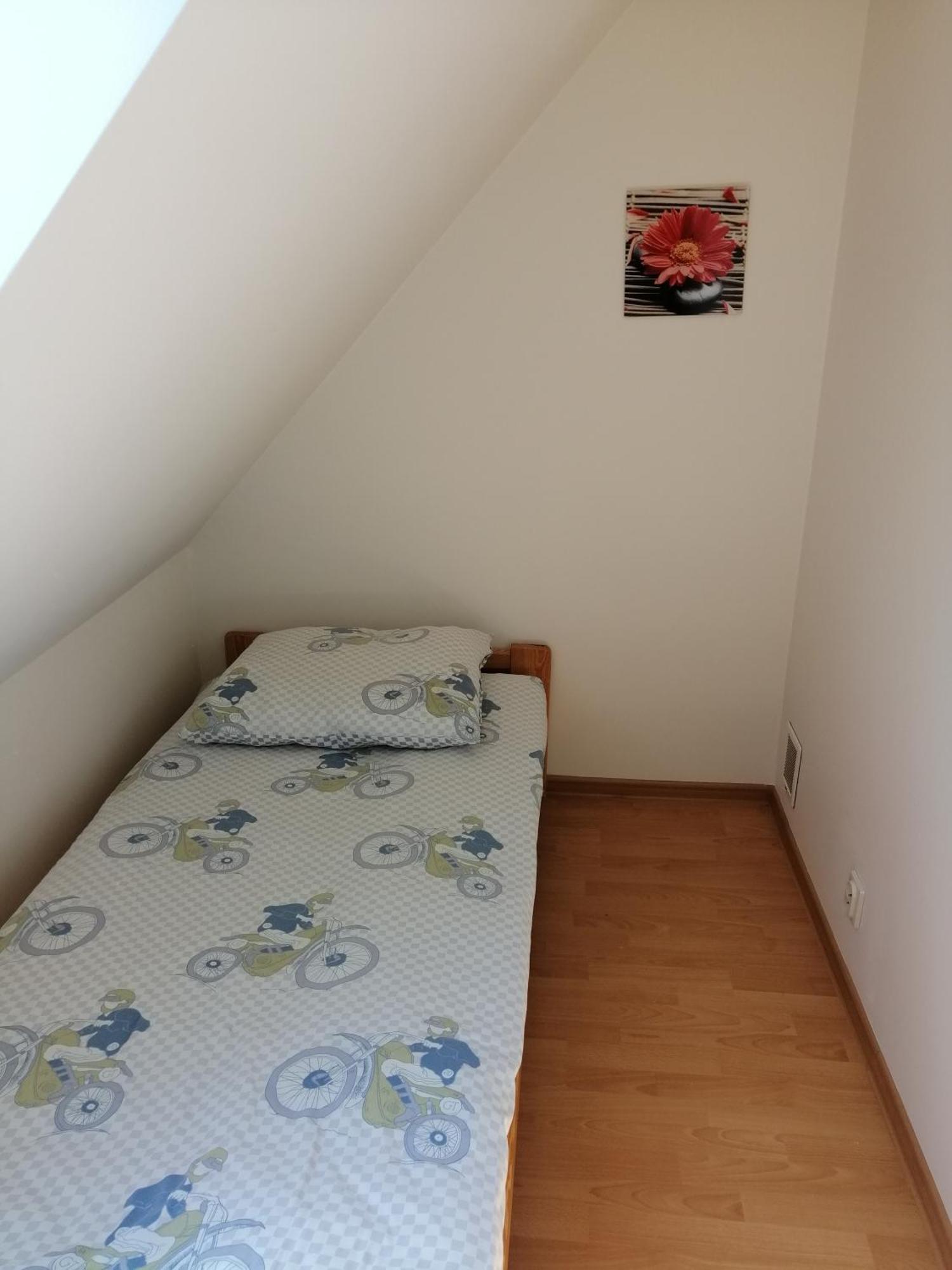 Alex I Maciek * Pleśna